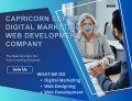 Capricorn Softech - Digital marketing and Web development company
